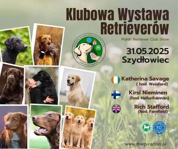 Klubowa Wystawa Retrieverów 31.05.2025